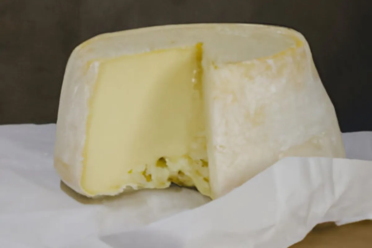 Como Fazer Provolone Desidratado Low Carb