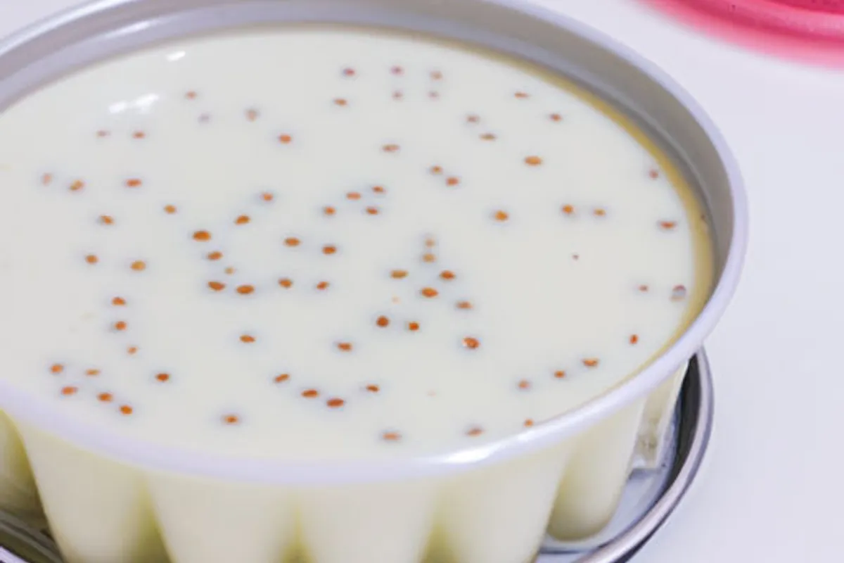 Gelatina com Kefir a sobremesa deliciosa e saudável