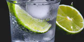 Receita Água Saborizada com Limão Low Carb