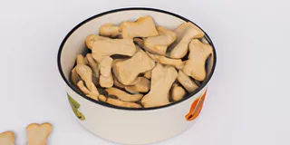 Receita Biscoitos para Cachorro Caseiros