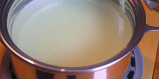 Receita Como adaptar Kefir de leite em água