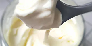 Receita Como Dessorar o Kefir de Forma Low Carb