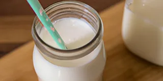 Receita Como fazer seu próprio leite de Kefir em casa