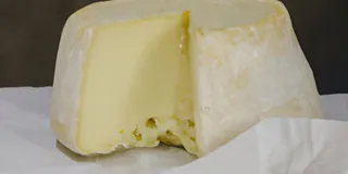 Receita Como Fazer Provolone Desidratado Low Carb