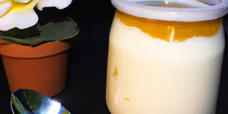 Receita Iogurte Caseiro com Gelatina 3