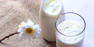 Receita Kefir de Leite Zero Lactose