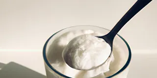 Receita Como cuidar do seu Kefir ou Quefir como um verdadeiro