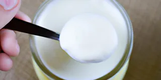 Receita Kefir: Saiba seus Benefícios e Receitas para aproveitar!