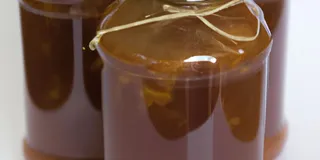 Receita Kombucha: os Benefícios e Malefícios Explicados