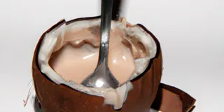 Receita Manjar de Coco com Chocolate Low Carb