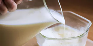 Receita Como fazer Kefir em casa de forma simples e saudável