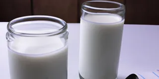 Receita Kefir sem leite? Respostas às suas dúvidas