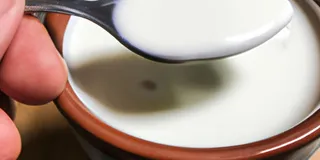 Receita Iogurte Grego de Kefir Low-Carb