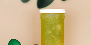 Receita Refrigerante de kombucha