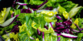 Receita Acelga saudável com verduras: a salada low carb perfeita!